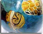 Green Turtle