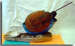 Horseshoe Crab