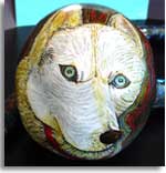 Husky Anticipation