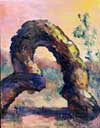 Cottonwood Arch