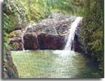 Manauwilli Falls